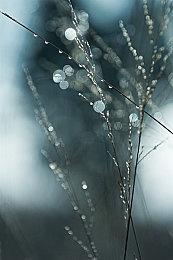 《使命召唤：黑色行动冷战》“战术核弹”技能将加入更多多人模式中