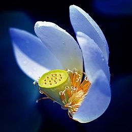 Xbox领导层团队变更 黑人女高管Sarah Bond晋升为总裁